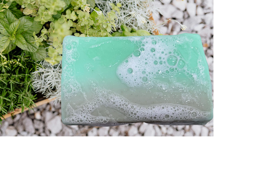 Spearmint and Spirulina