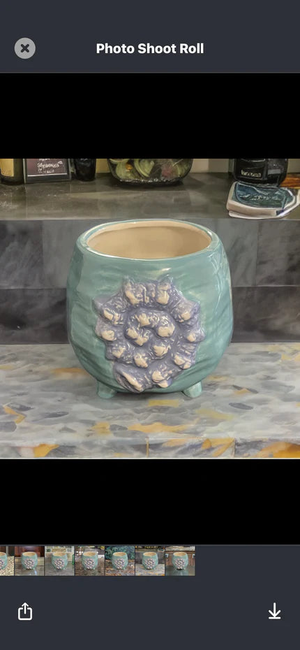 IT SEALIFE DESIGN CERAMIC POT 2 ASSORTED