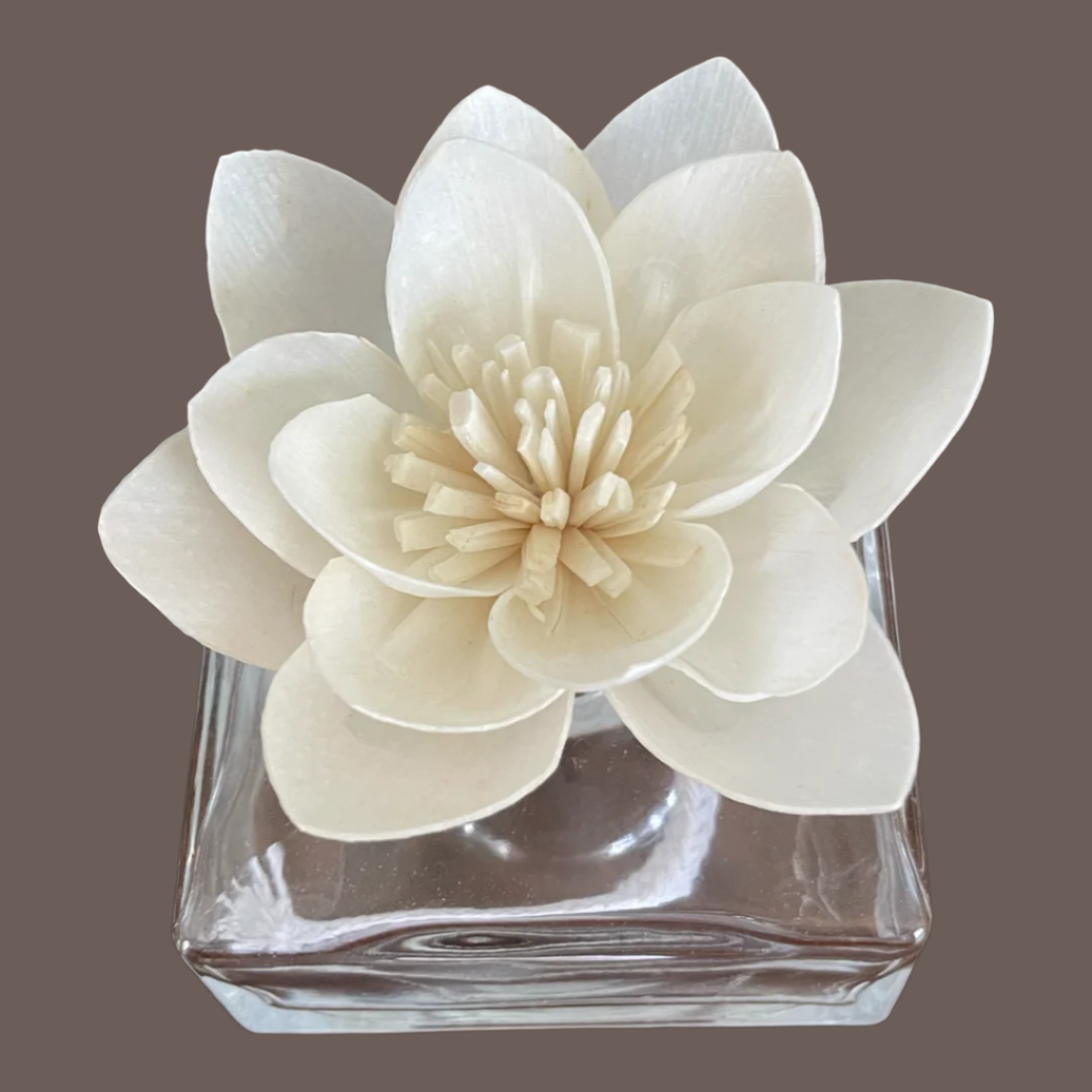 Sola Flowers - Lather & Lace