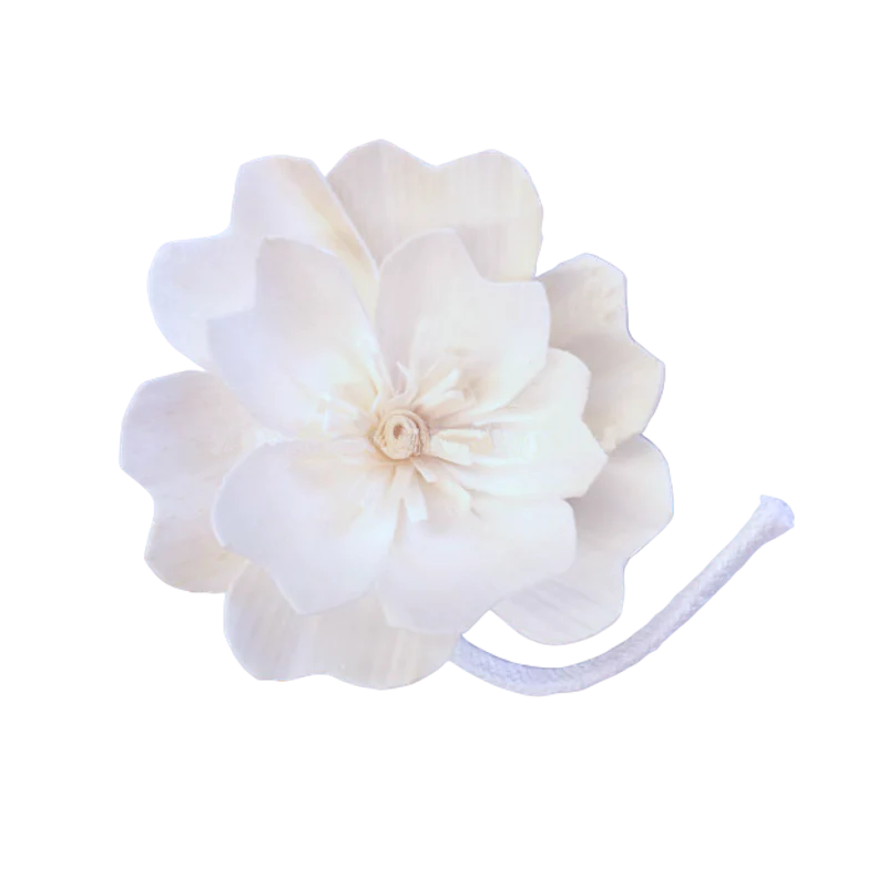 Sola Flowers - Create your own